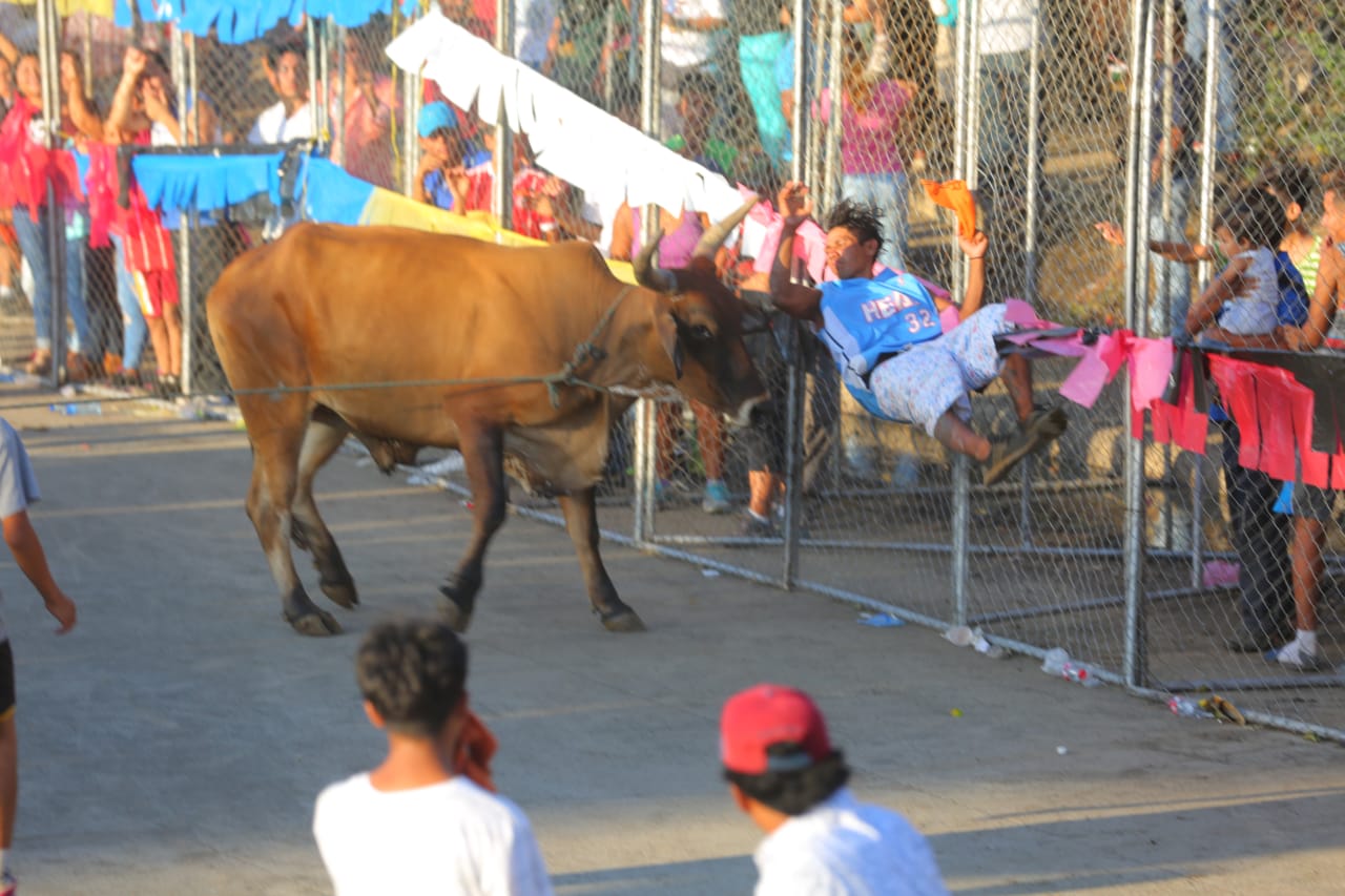 VACAS1